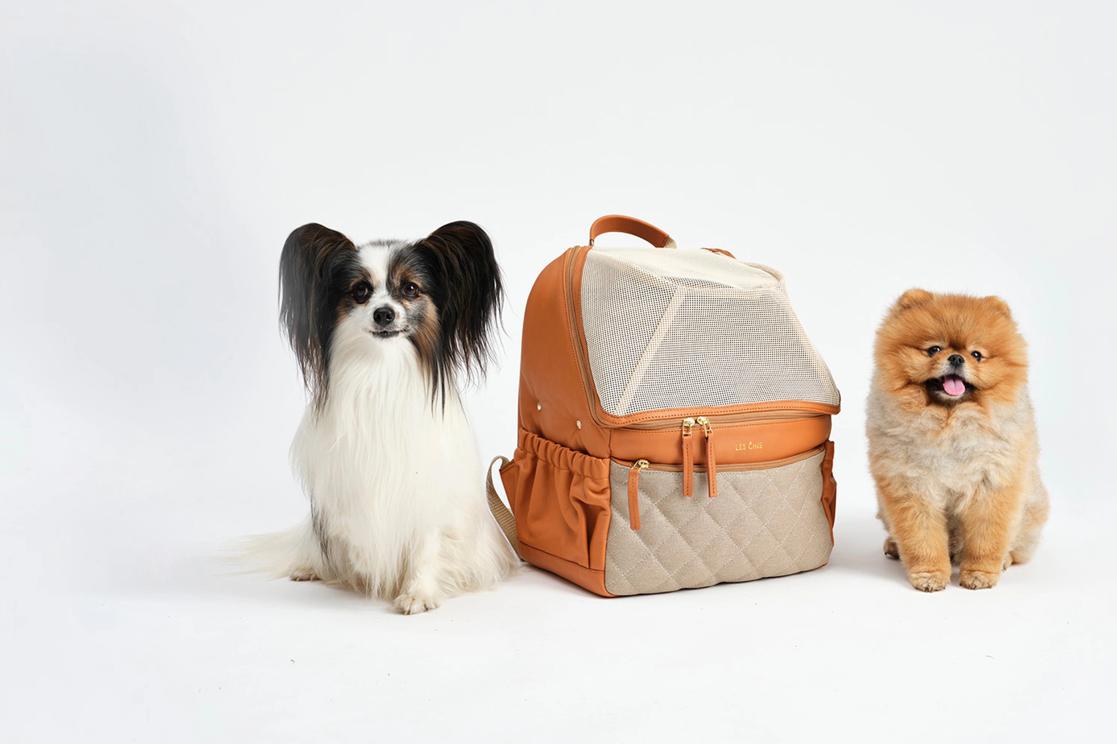 MOQO THUMBNAIL 1920x1280 15