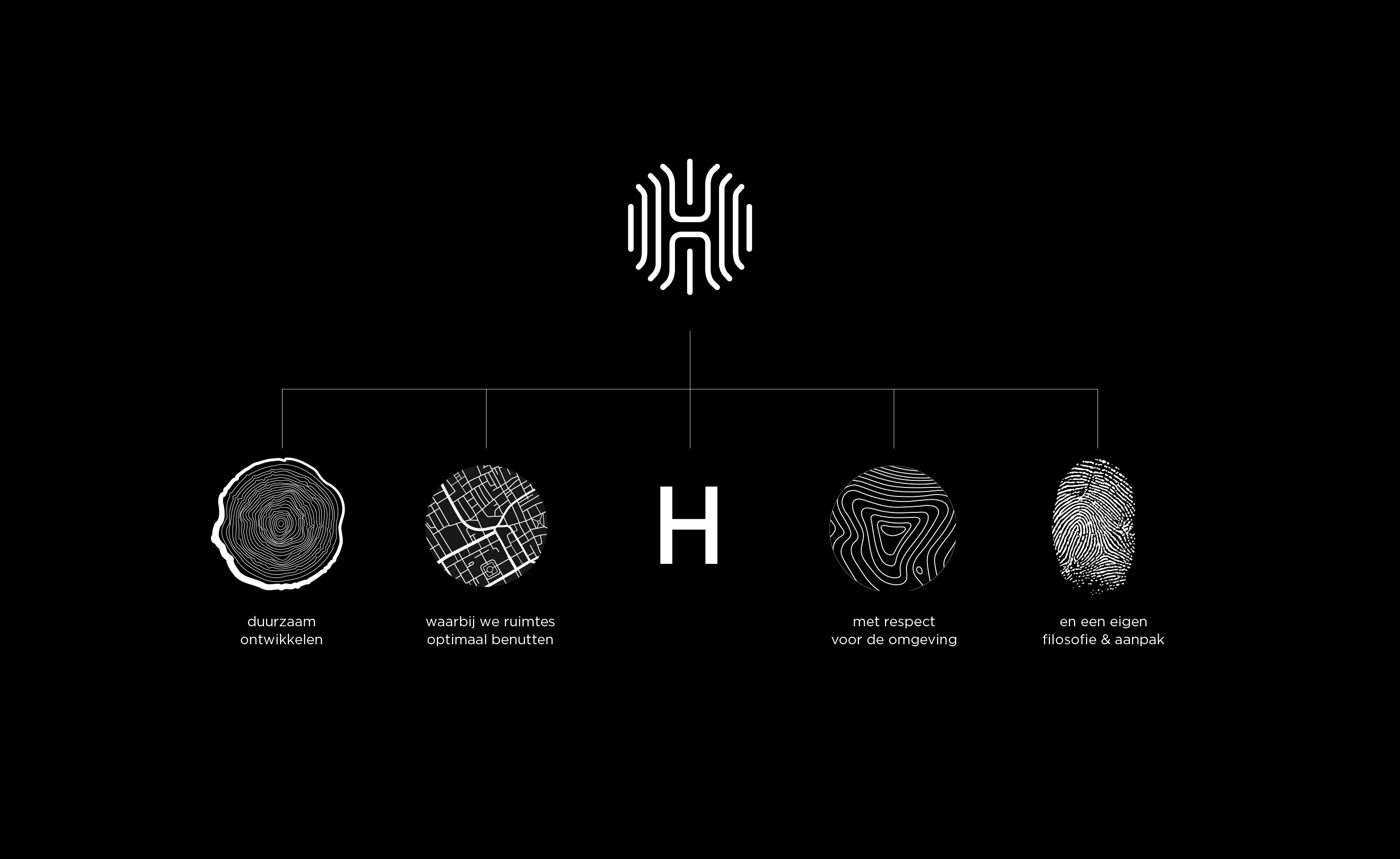 Hexagon concept 1