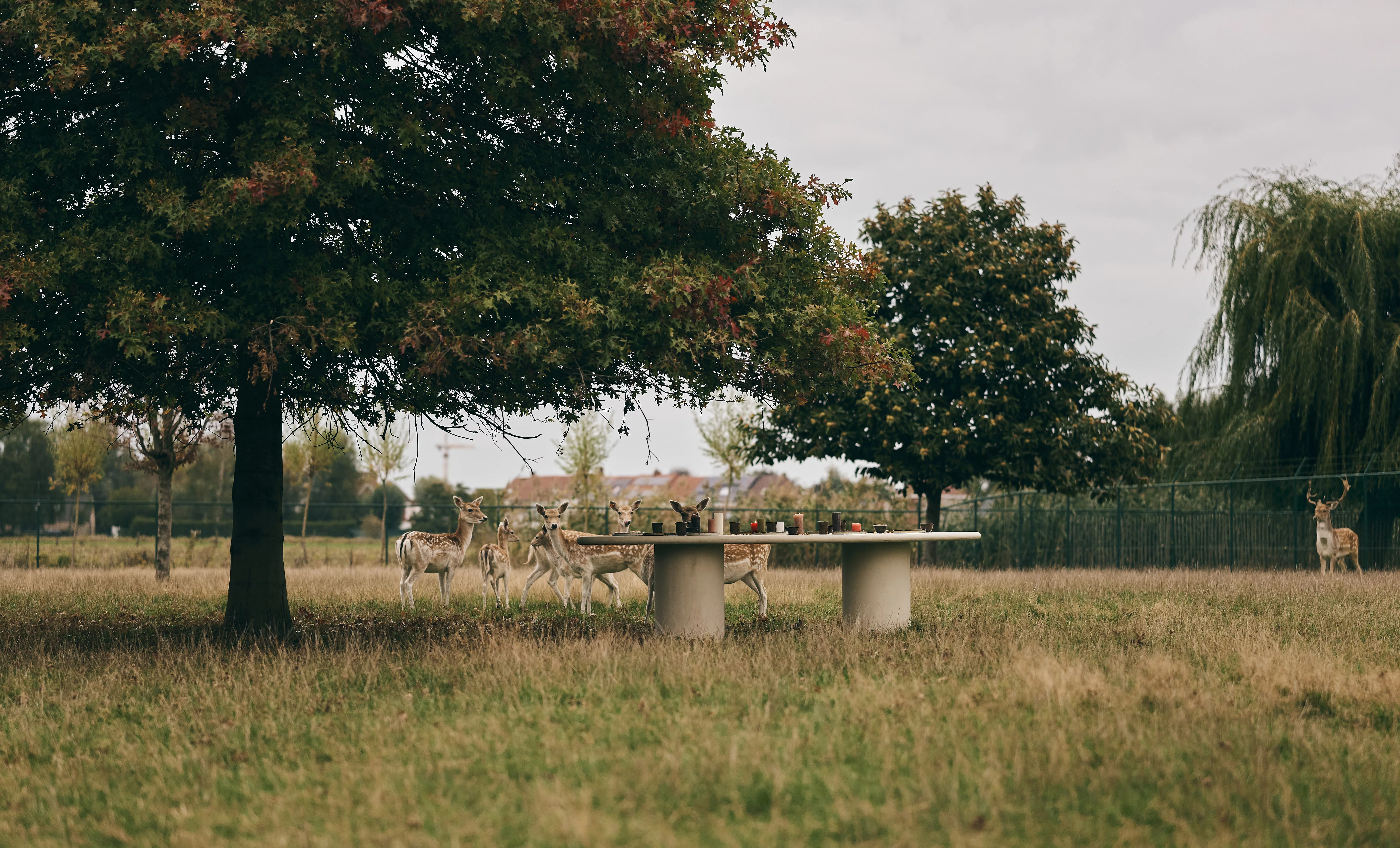 Wild Atelier charlottelauwersphotography 54